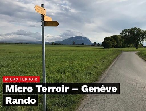 Onefmmicroterroir