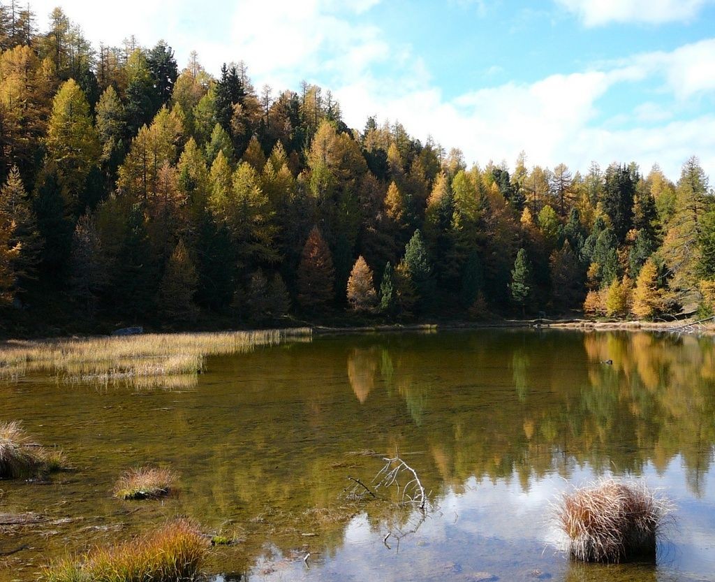25_automne2