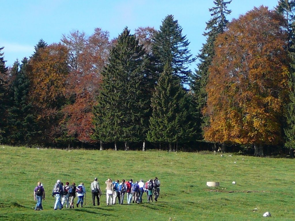 25_automne3